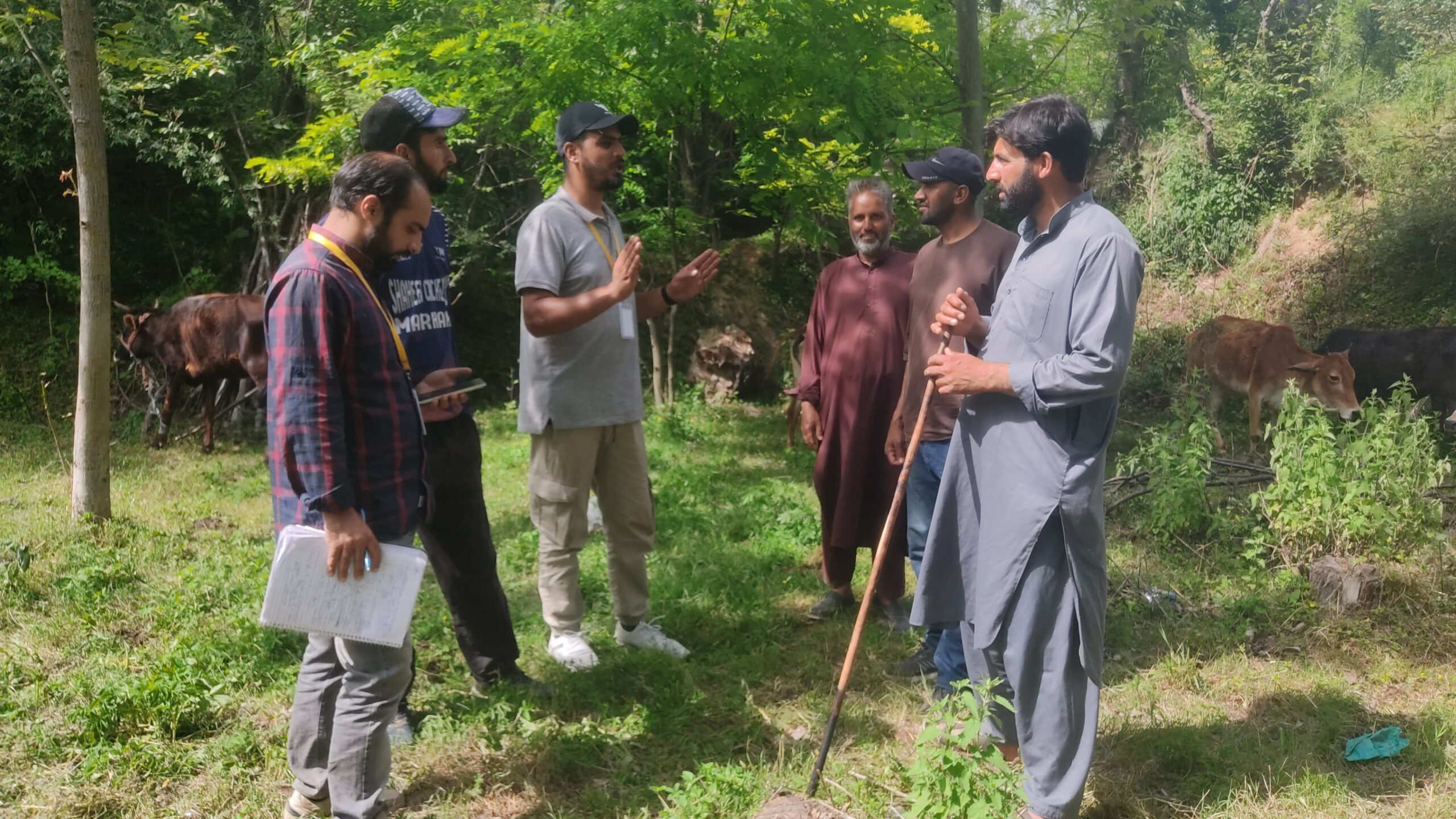 Kashmir Apple Study Field Photo